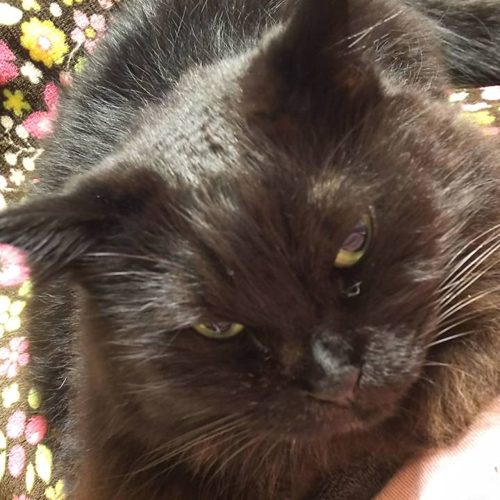 5405c93b 8f67 46f6 90f5 88fa2f584e6d 1543754226498