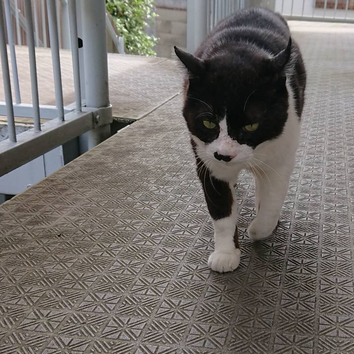 5405f6ed fe5e 4b05 aca3 17dc03f3ca55 1564188730565