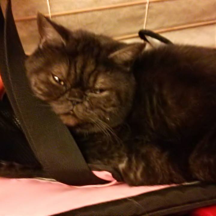 5405f80a 0475 44f0 9a17 65a81459a130 1543408363194