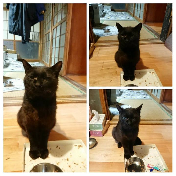 54060657 fc04 4a18 a201 c27eebca3959 1623842349298