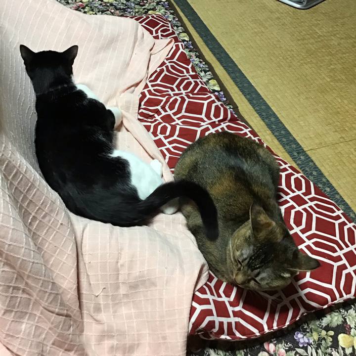 54060cd6 49a8 4149 88c9 3a83b286ba63 1637483114621