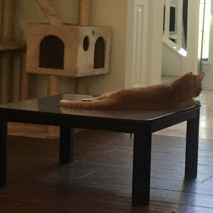 5406171f 567f 4411 a916 3486257a95aa 1657933380733