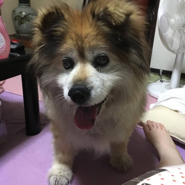 54064dff 6408 4b92 be67 3c9667037454 1594286586699