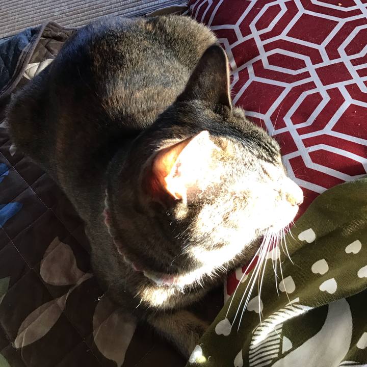 54064f02 9948 4e17 be7a ae6b238548ab 1616054383390