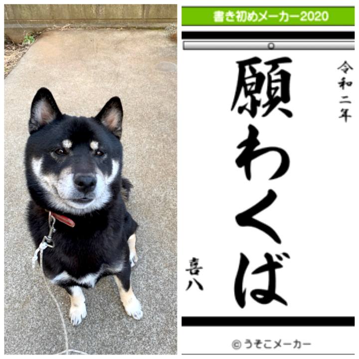 54067a0b 645c 4db5 b87d bd40e0316923 1577951326770