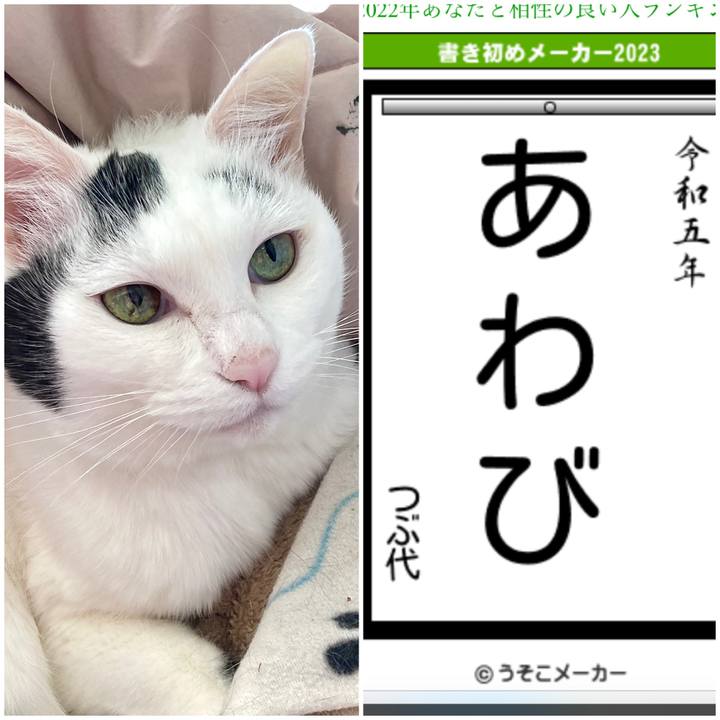 54067d7a 6446 42d3 b5fd f7c8fd6528bf 1672642679241