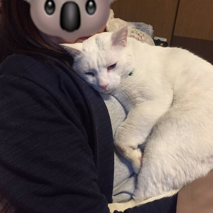 54068288 db2d 4fd7 8f77 612af08c28b9 1554653807826