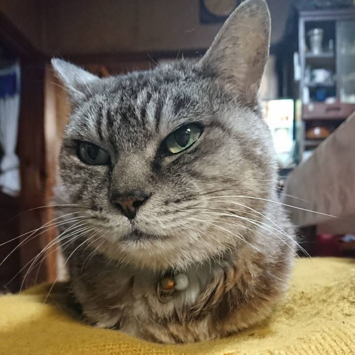 5406a894 f588 410f b9db 23abd678ba1b 1570444702942