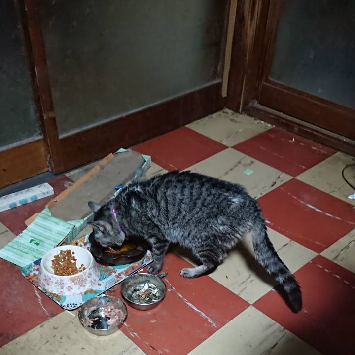 5406b34d d7ee 4266 b3aa 62b6841accb7 1579901045115