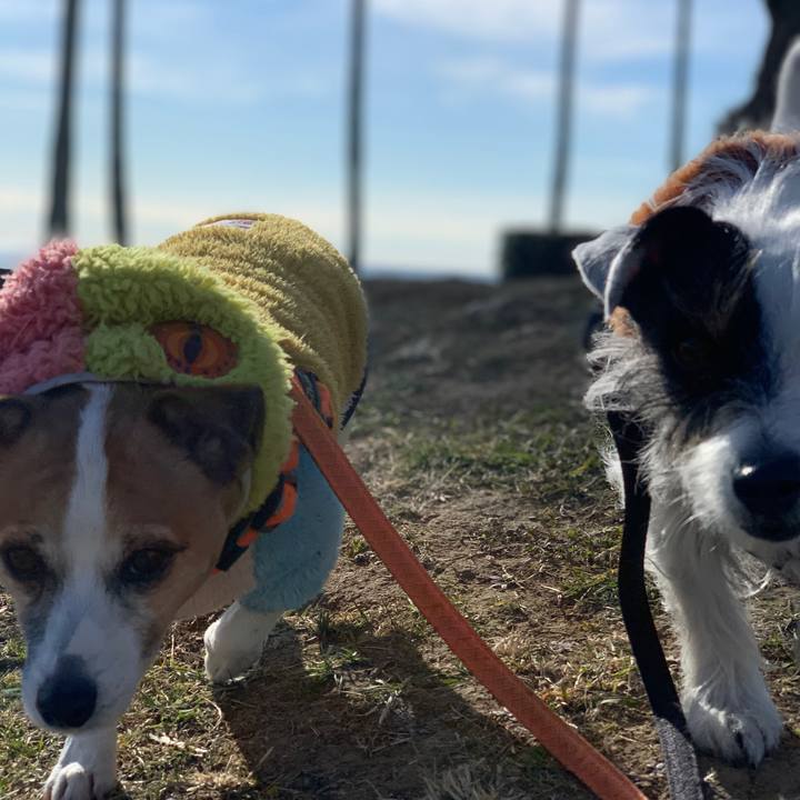 5406da10 64ce 492c 8962 e09ac09605d3 1608945973368