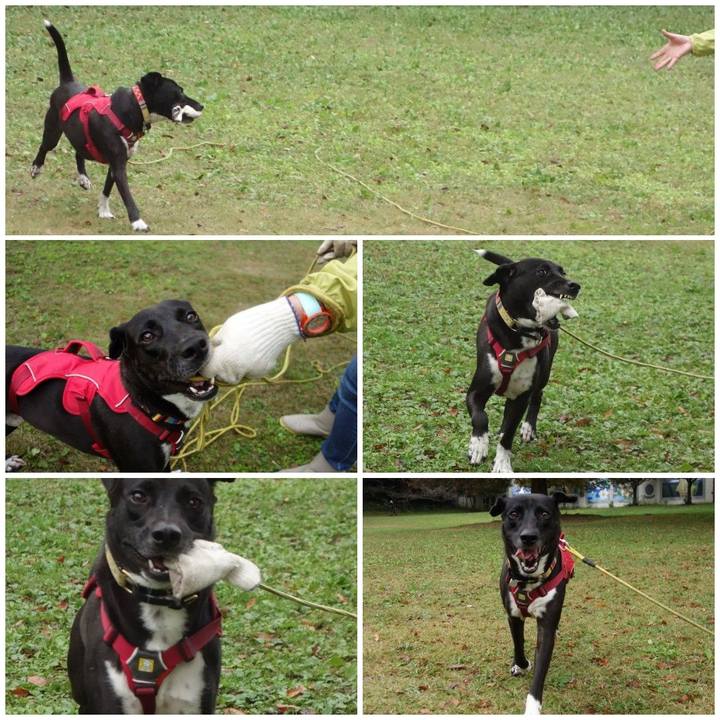 5406eada 2285 4e5c 81a4 2aaae98b8acc 1604794499947