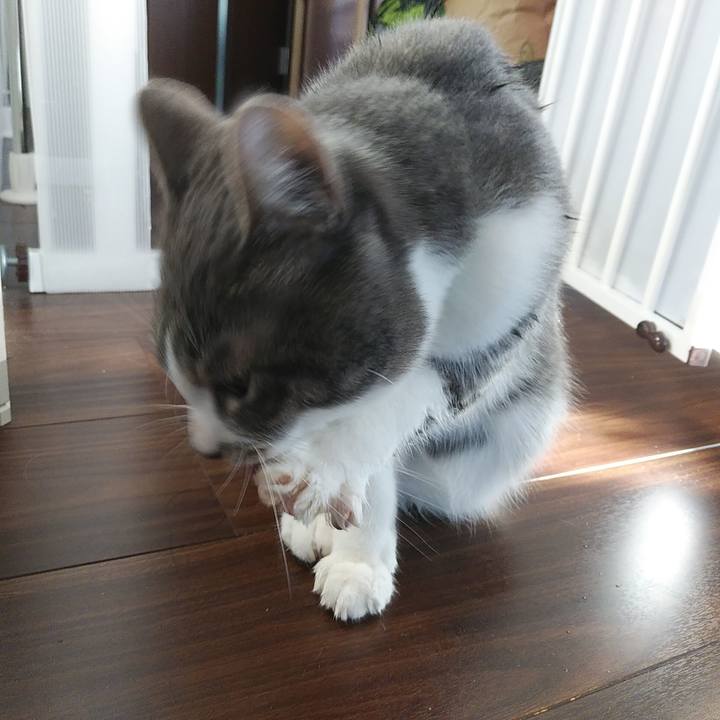 5407061e 813f 4b85 9c73 44754248cb77 1580513002703