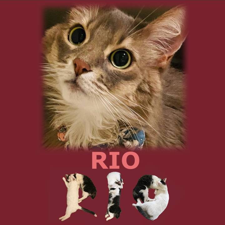 54070f69 aa92 442d 977e c466bbd2648d 1668587491569