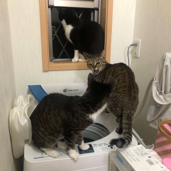 54072c61 26d6 4b59 b74f 8065177ca180 1589167689772