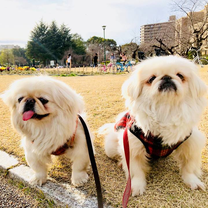 54073138 fe04 4f74 bcad 1fd114686d07 1583575970061