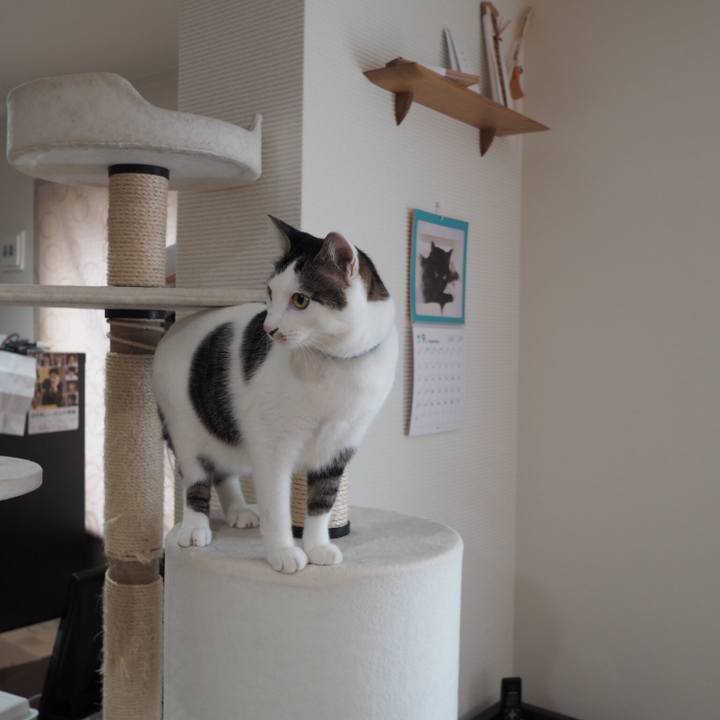 54075d5f a6a7 42fe bf76 6546de1d76af 1536223652554