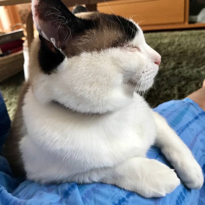 54078a7d f8e0 49fd a437 64e4e66ea186 1558853564236