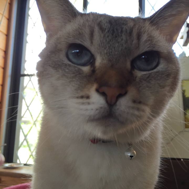 540805c6 1a91 40b6 9837 03e53051601e 1536795620530