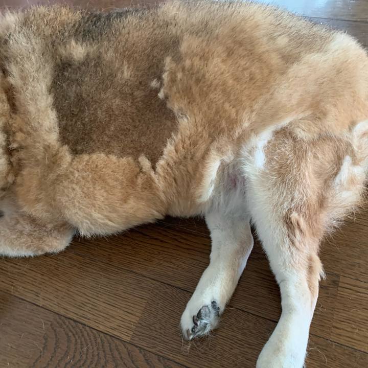 54080a13 f833 4def be62 43acf5d6ca1f 1622086438131