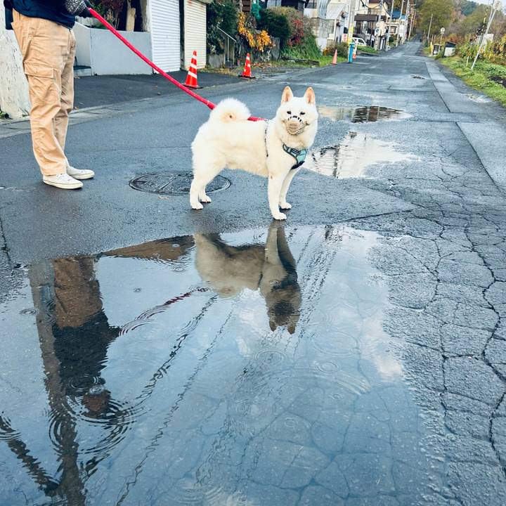 54083ae8 6527 48b5 ad92 5073cb0a276a 1730671096973