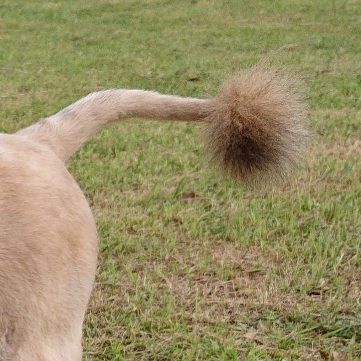 54084d38 8c2f 4e5c 8f6a e9c49a95aeb0 1593165127655