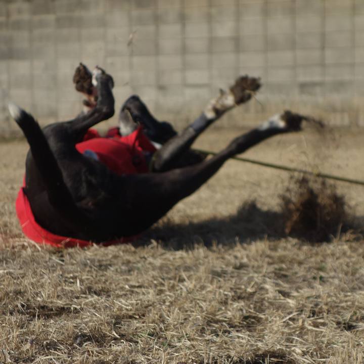 54087dce 72dc 4b36 8502 a74106e7f9da 1676683513703