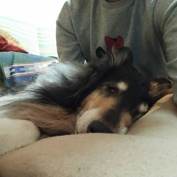 540881e8 9616 4a76 99b6 9612f9cd7516 1621096081896