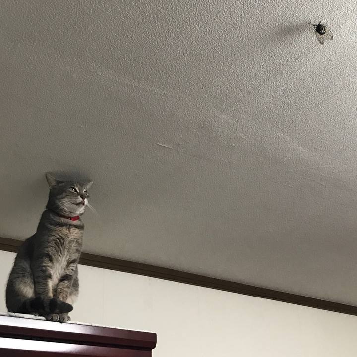 54088dde e9a4 4670 a67e 9993b65fa282 1564356283268