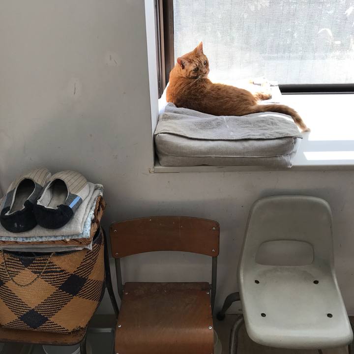 5408d674 d07b 4771 8979 f80b4f9feb4e 1509362963634