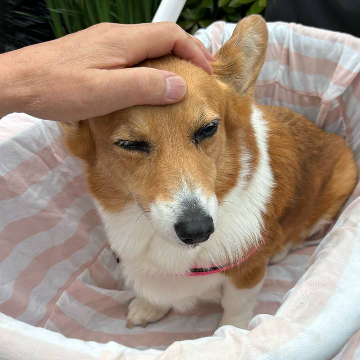 5408f1f2 a2c9 41fe bc45 e27768308a7c 1747977123654