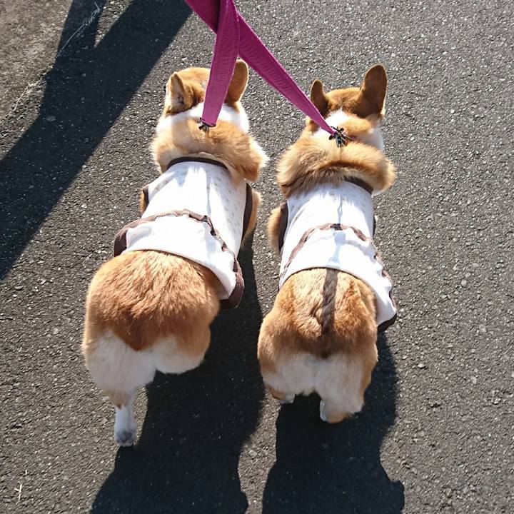 5409412e b597 42ec 892d 885f98c81d2b 1547621147879