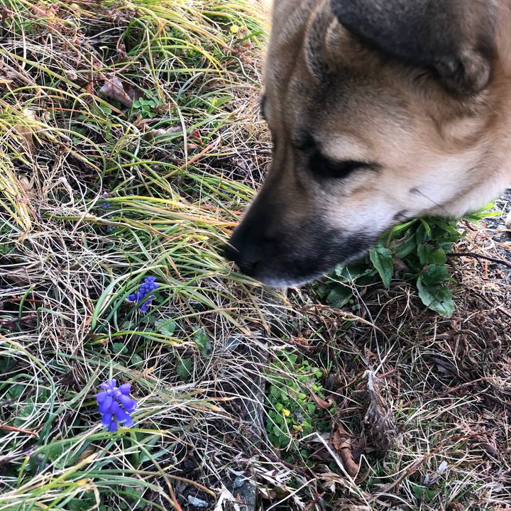 5409755d 6e90 4a9e af9f 2cc1f5edd325 1520939495292