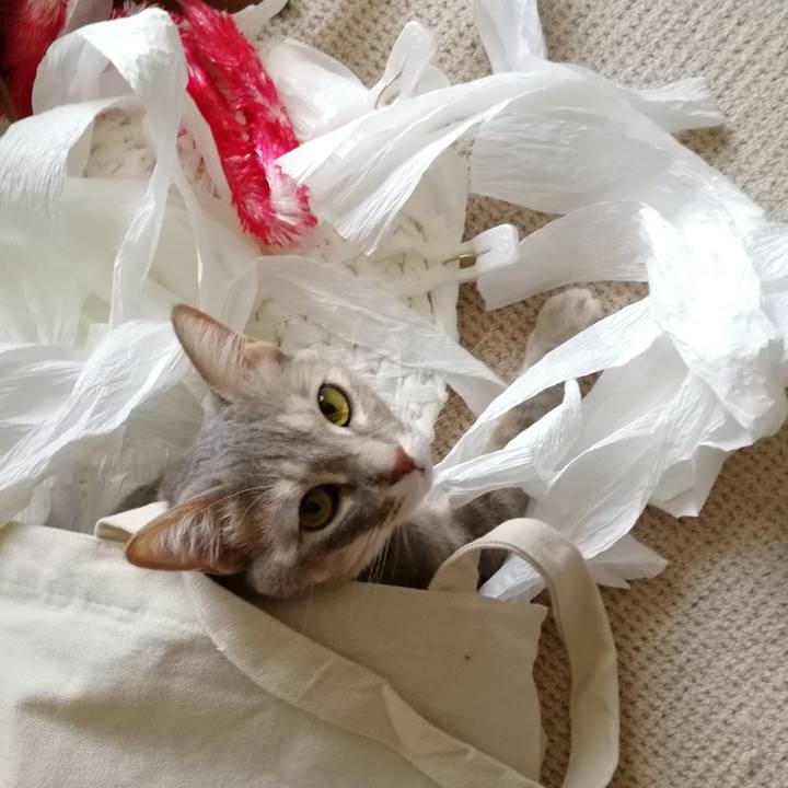 54097670 68ac 4656 99ee d0fccf9209d1 1525313899968