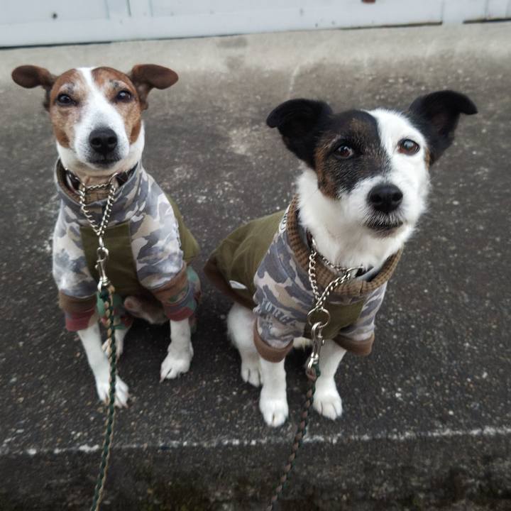 5409ccb0 e376 4402 820d fff21c40ef00 1768772662156