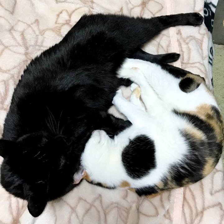 5409cee1 0f6b 4913 8c8e 3b9b17d8ff0e 1516666998178