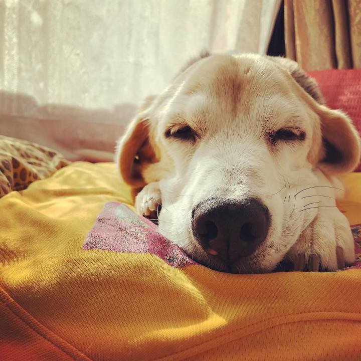 5409e464 9660 4578 9745 97dda5ac19ad 1580039204344