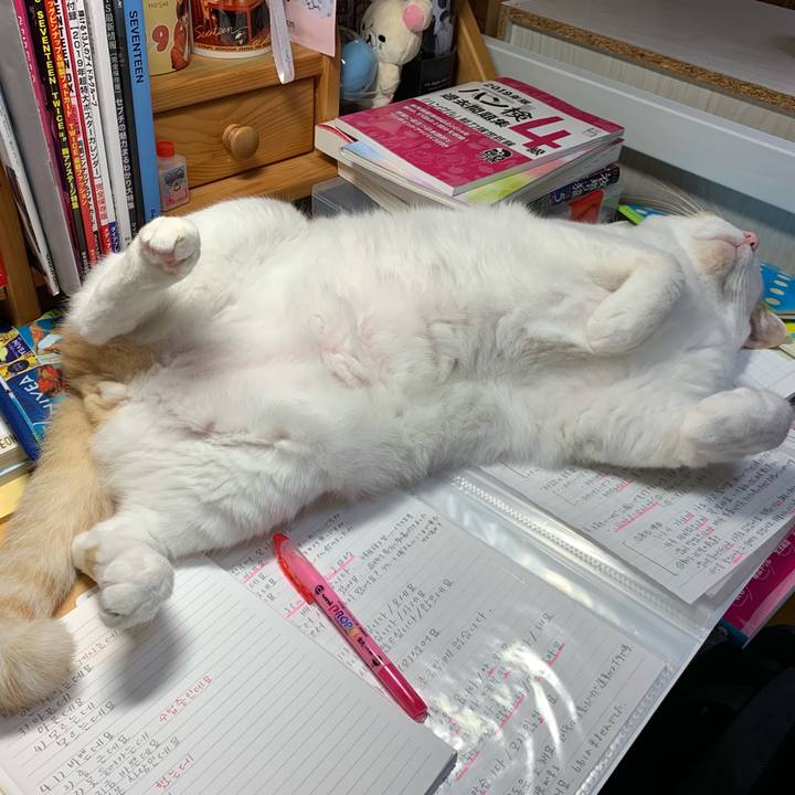 540a0124 30b6 49f2 ab4e 759f28b1bb39 1566915417485