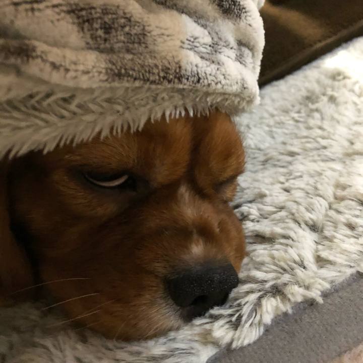 540a0929 edfb 4cb7 b45f bb1f65153622 1550576469281