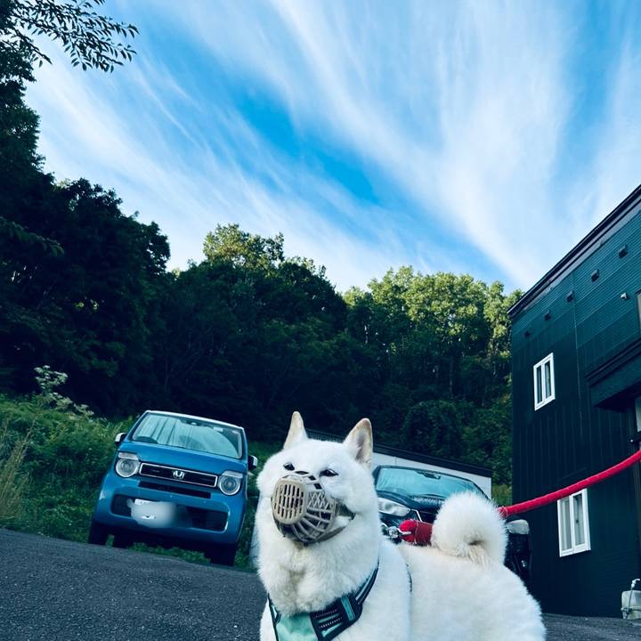 540a106b 956d 4cf7 b4d6 bf7f0bbdf120 1695159753353