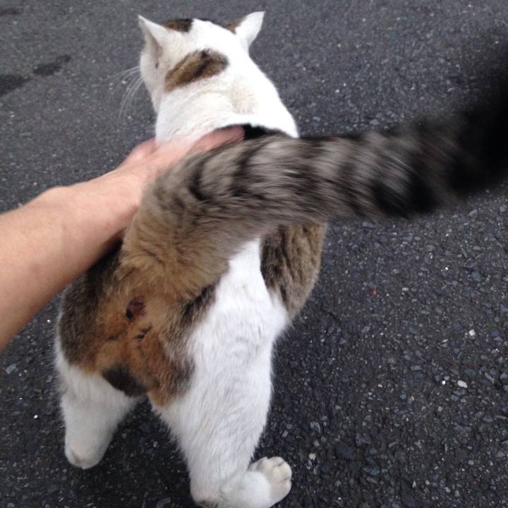 540a1a43 5229 4ca2 a693 78ce3430c5e1 1509719525556