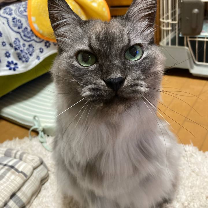 540a4c59 e952 4d50 b69a c457352459a5 1706276495504