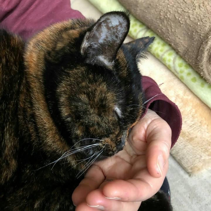 540a8bf0 a1e3 4d07 a6a4 7ab2ce56f2ac 1611285370548