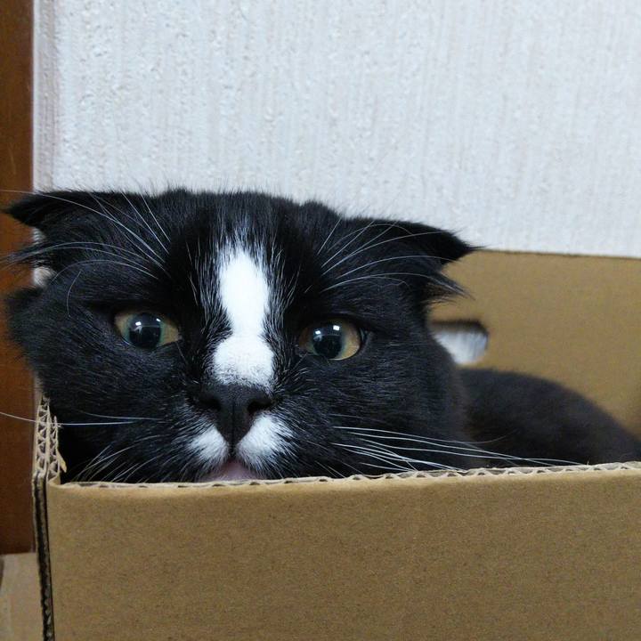 540a8d91 b3fd 4b93 a921 fddd026f527d 1650598548246