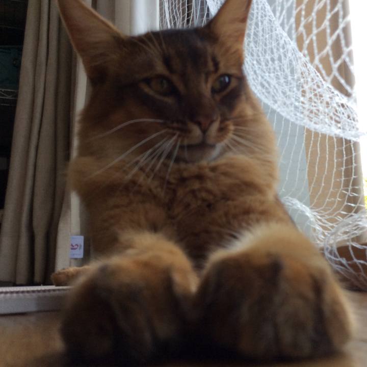 540a8eda b6e2 4271 8b83 a47c74034abc 1591660652838