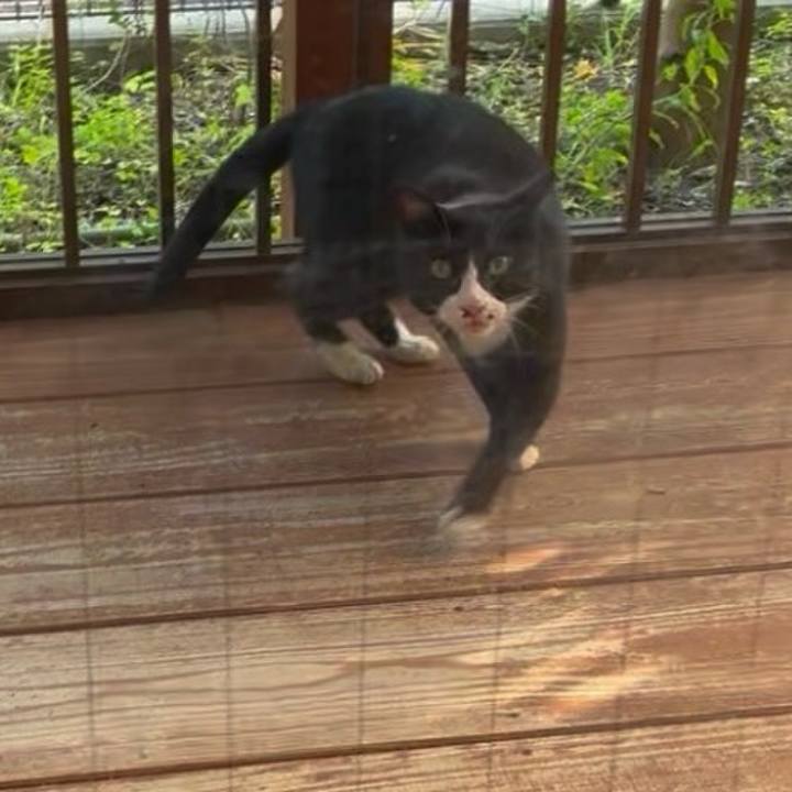 540aa109 7b1c 44f3 ae5d 8d5ee360eb5a 1751621867146