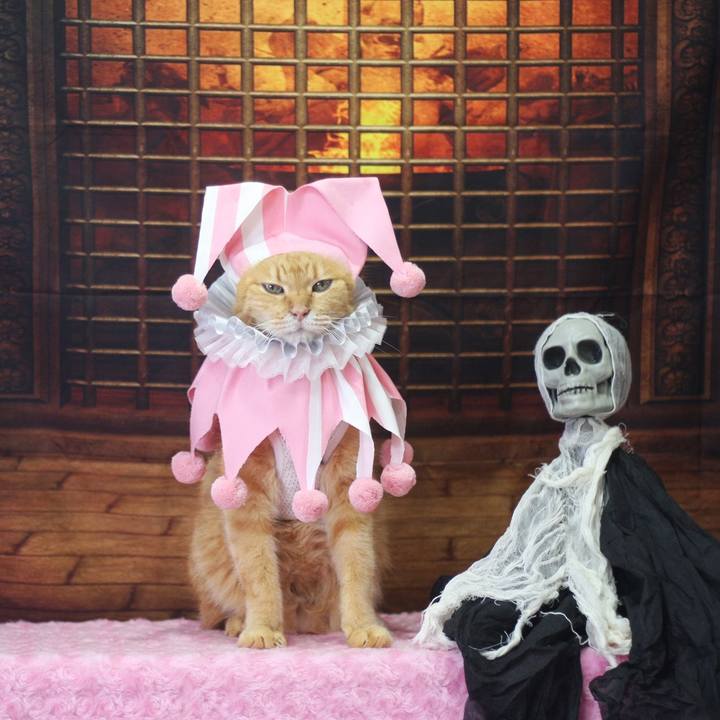 540aa38a c1f1 4f8a 99d8 c68e12fe2585 1730358187825