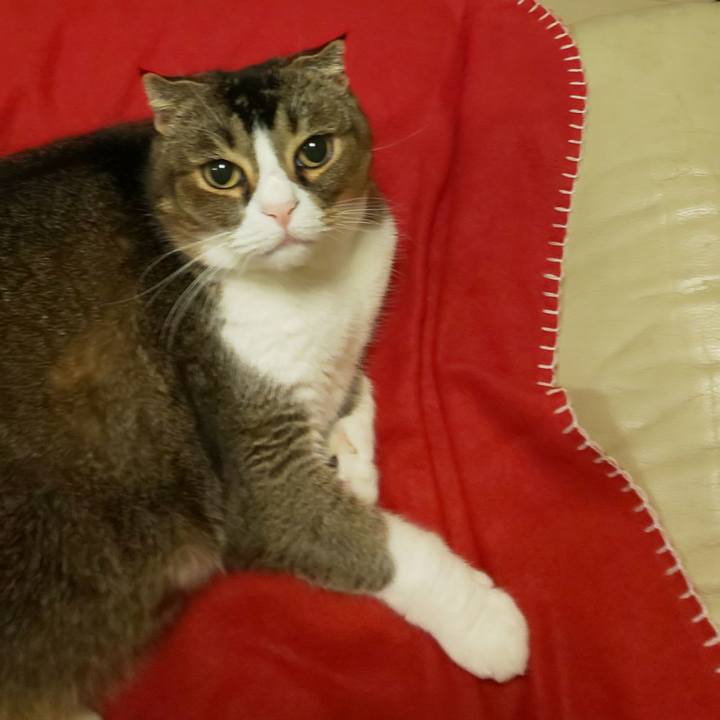 540aa86c 092a 4ce1 af19 6ebe9911b67f 1638542957641