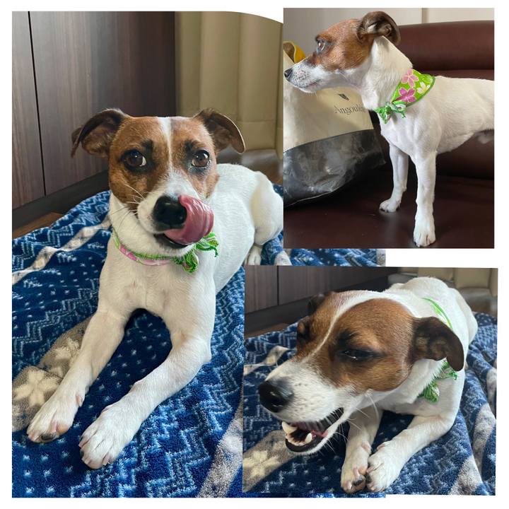 540ab891 8740 44d6 8840 cb79406cf9d0 1648809623470