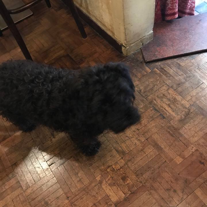 540aceea 4d2d 4700 89c2 fdd1c3437902 1516250901548