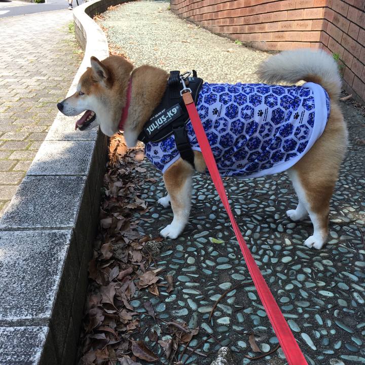 540adc48 5004 47cd b99f ccc113097d8c 1592629463014